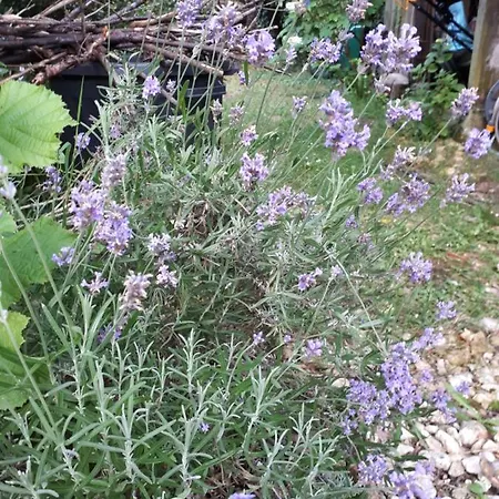 Casa de Férias L’escale Côté Jardin *