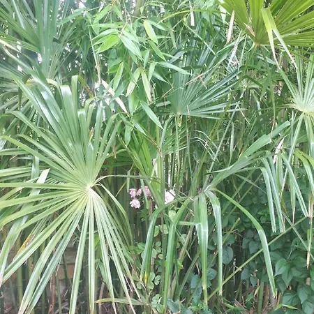 L'escale Cote Jardin *