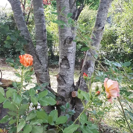Casa de Férias L’escale Côté Jardin