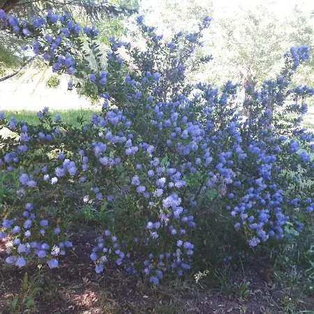 別荘 L'escale Cote Jardin Saint-Laurent-de-Médoc