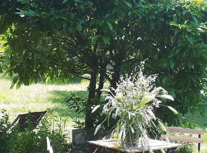 L'escale Cote Jardin *