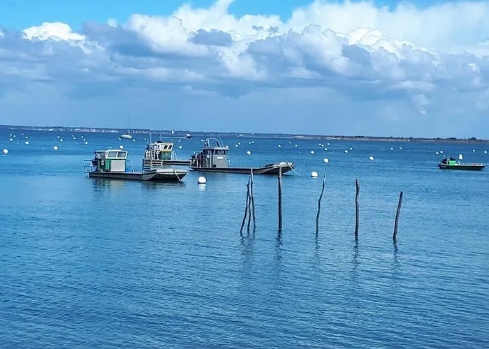 L'escale Cote Jardin * Saint-Laurent-de-Medoc