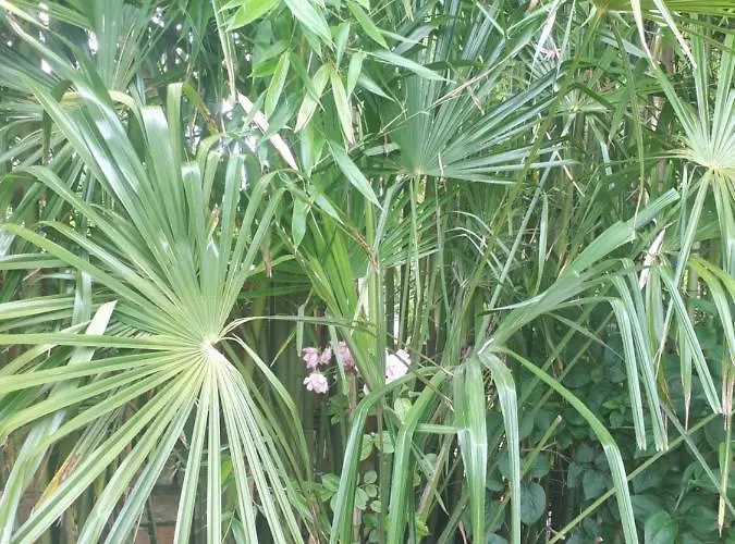 L'escale Cote Jardin *