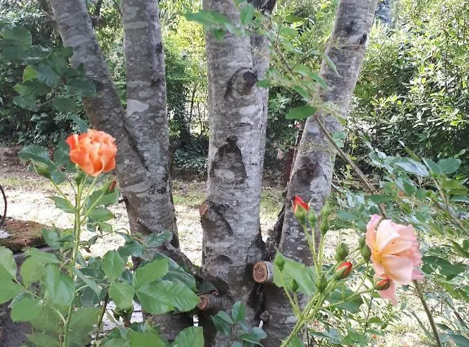 Дом отдыха L'escale Cote Jardin