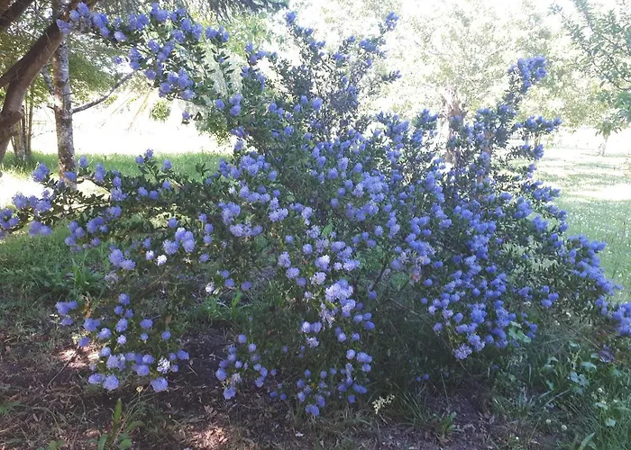 Дом отдыха L'escale Cote Jardin Saint-Laurent-de-Medoc